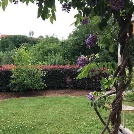 公寓 Frankenberg-am-wald *