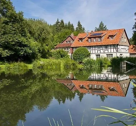 Frankenberg-am-wald Apartment *
