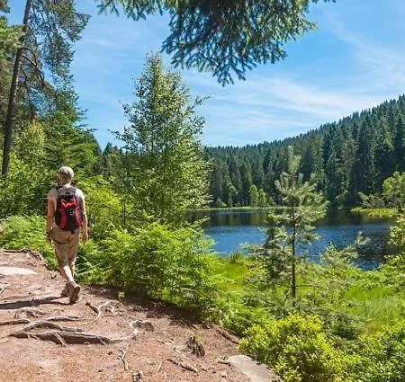 Frankenberg-am-wald アパート *