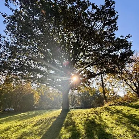 Frankenberg-am-wald *