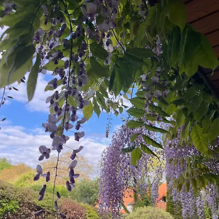 公寓 Frankenberg-am-wald *