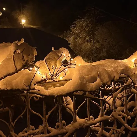 Frankenberg-am-wald 公寓 *