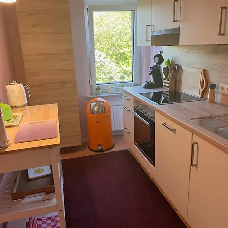 Frankenberg-am-wald Apartment
