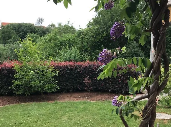 Appartement Frankenberg-am-wald *