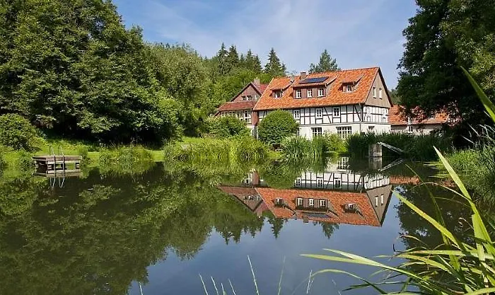 Frankenberg-am-wald Appartement *