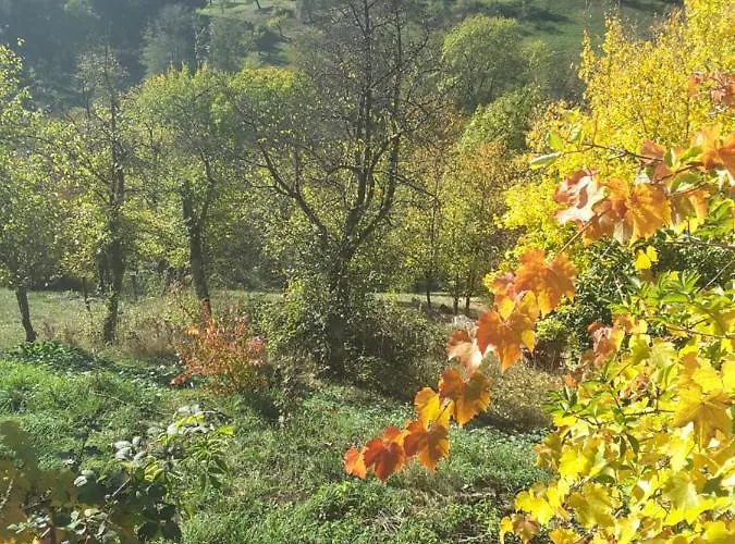 Appartement Frankenberg-am-wald Frankenberg an der Eder