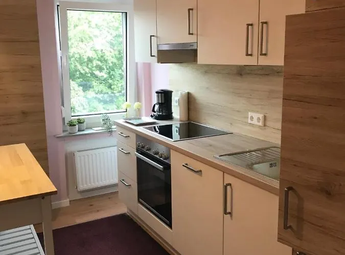 Frankenberg-am-wald Appartement *