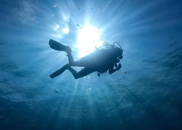 Frankenberg-am-wald * Frankenberg an der Eder