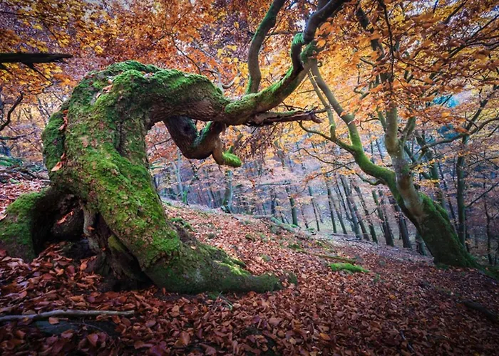 Frankenberg-am-wald * Frankenberg an der Eder