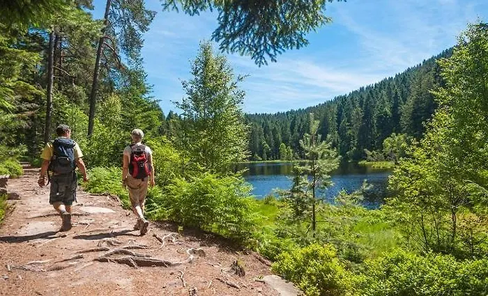 Frankenberg-am-wald Appartement *