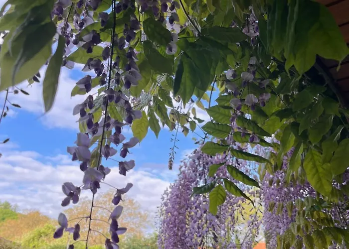 Appartement Frankenberg-am-wald *