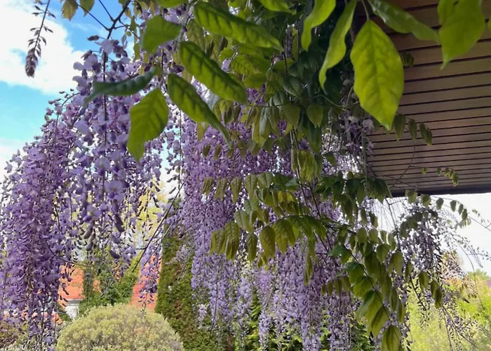 Frankenberg-am-wald Frankenberg an der Eder