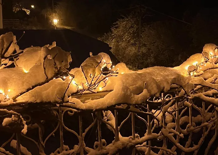 Frankenberg-am-wald Appartement *